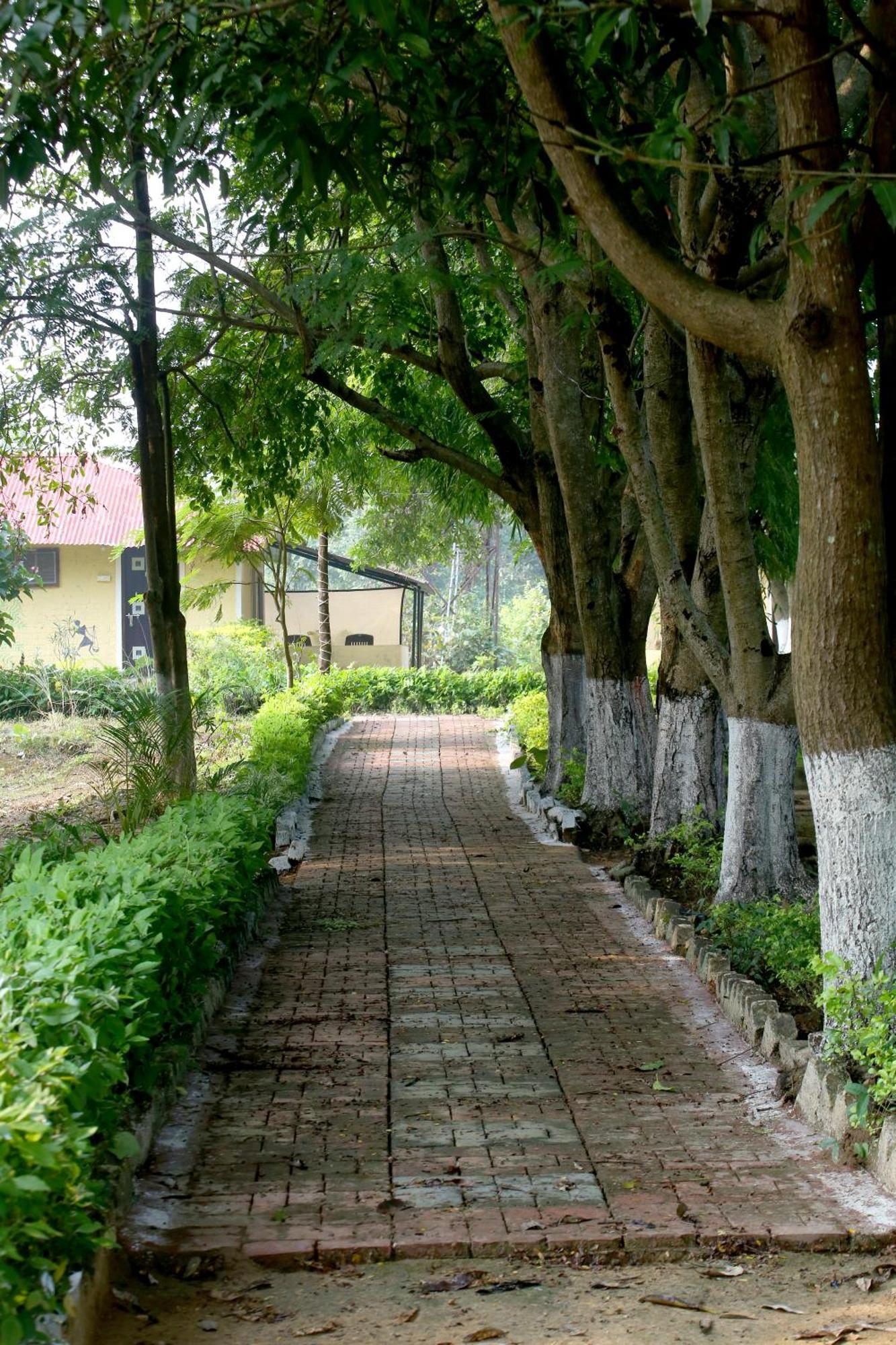 Tribal Wood Resort Dhanwār エクステリア 写真